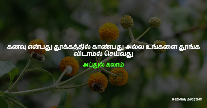 blog image